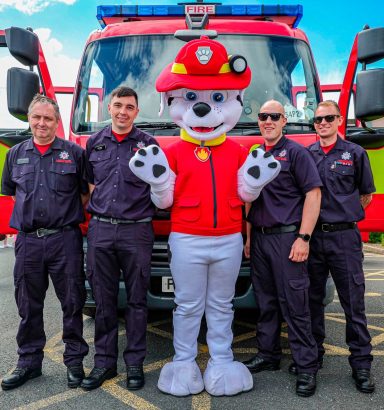 Fire Pup - A Dalmatian Firefighter 