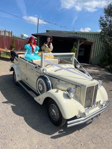 The Mermaid Princess and The Enchanted Rose Princess at The Wellbeing Farm